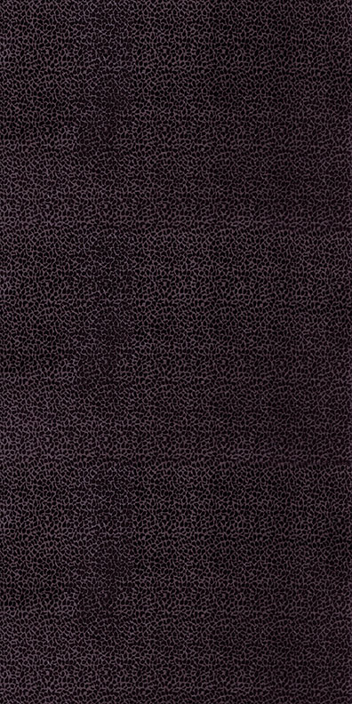 7023