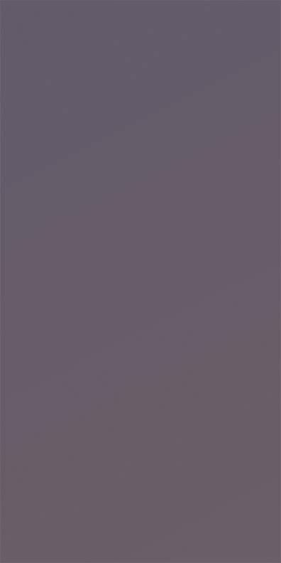 9061