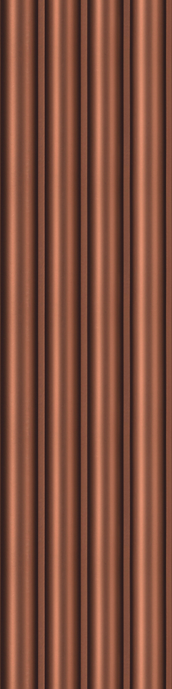 RG 5244